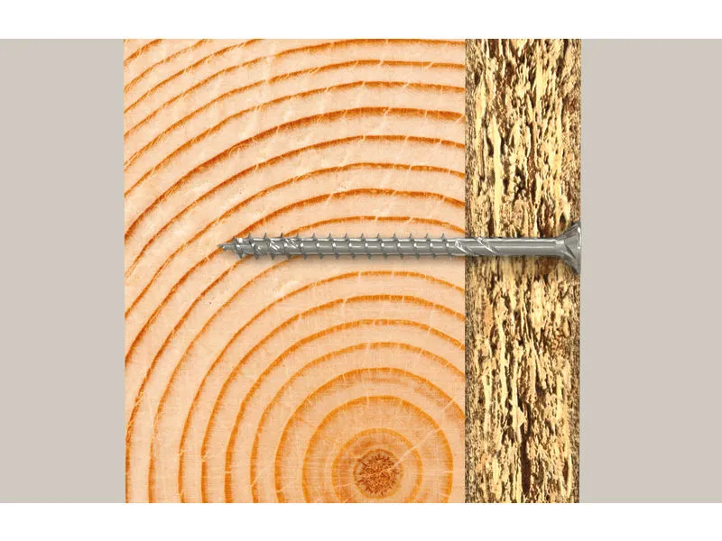 Meister-Box XL Wohnraum